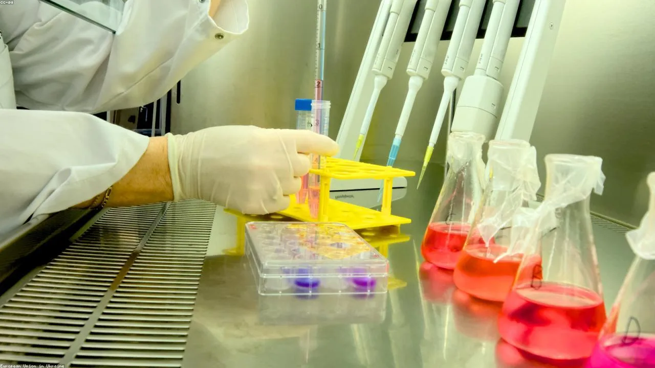 Successful hiring with real teams